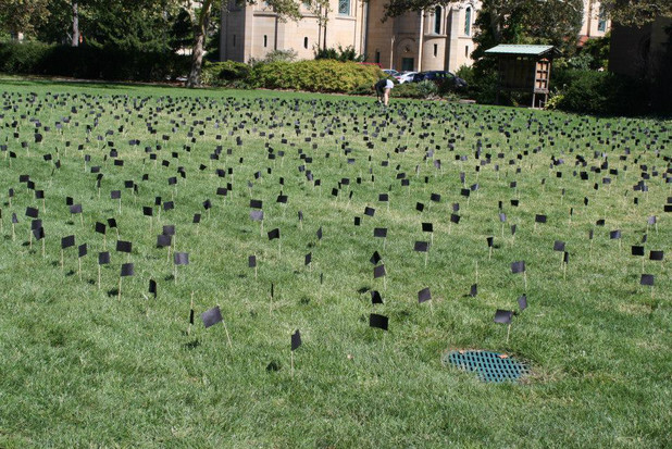 Black flags were planted on the lawn at Oberlin College for each of the 2,133 Palestinians killed in Israel’s summer attacks.