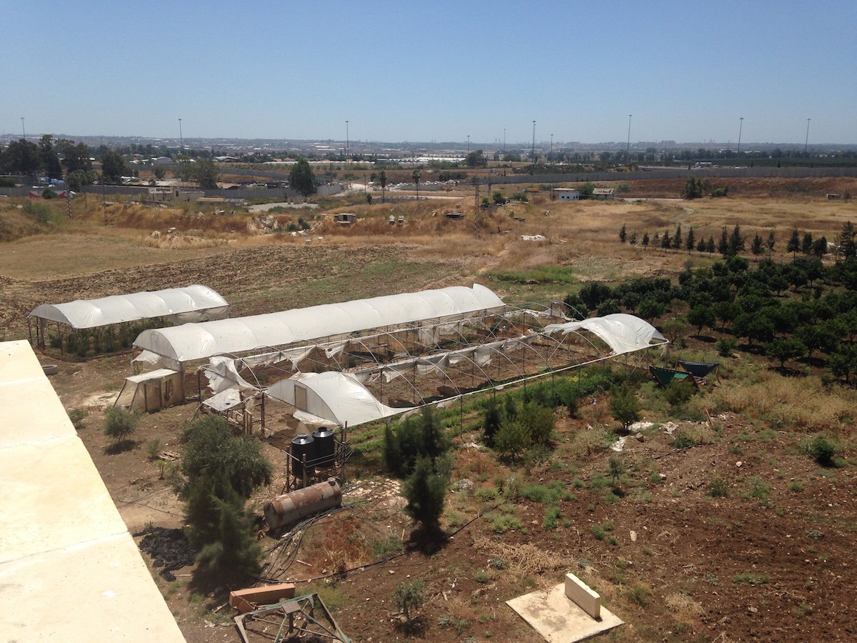 Experimental greenhouses at Palestine Technical University-Kedoorie, destroyed by Israeli troops in the same December 2015 incursion. The separation wall, which cuts through university land, is visible in the background. (Photo: Lenora Hanson)